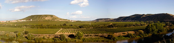 Bodega Contino à Rioja